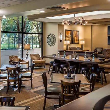 Embassy Suites By Hilton Dallas-Love Field-3